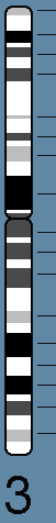 chr3